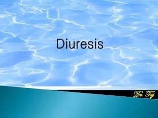 PPT Diuretics From Diuresis To Clinical Use PowerPoint Presentation