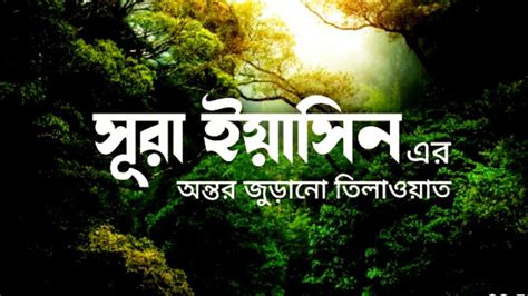 Surah Yaseen স মধ র কন ঠ ত ল ওয ত স