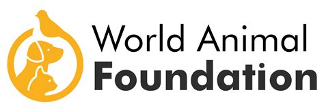 13 Adorable Dumbest Dog Breeds You'll Love: Beyond IQ Scale