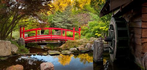 The 10 best gardens to visit in Australia: Explore them today!