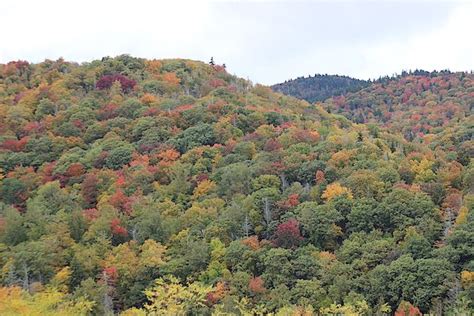 Blue Ridge Parkway, Autumn Trees, Lindsey, Photographer, Wall Art, Water, Plants, Photos, Outdoor