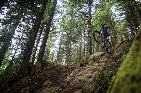 Raging River State Forest Mountain Biking Trails Trailforks