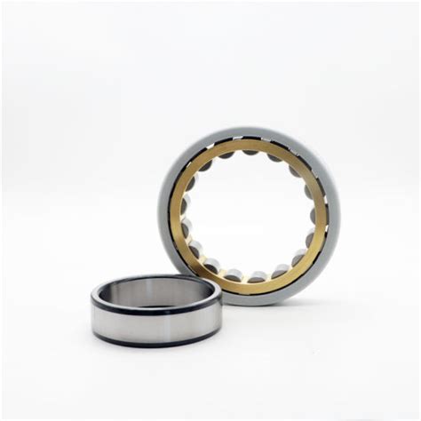 Insocoat Electrically Insulated Cylindrical Rolling Bearings Nu Ecm