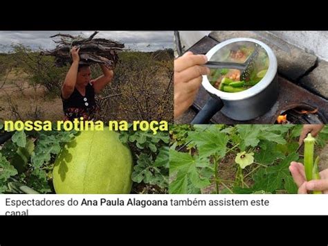 Fomos Pegar Lenha Pra Fazer O Almo O Colhemos Verduras No Canteiro E