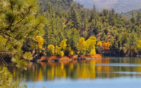 Autumn Colors: Where to See them in Prescott and Prescott Valley ...