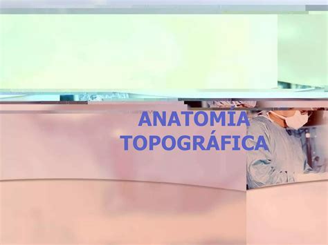 Anatomia Topografica Ppt