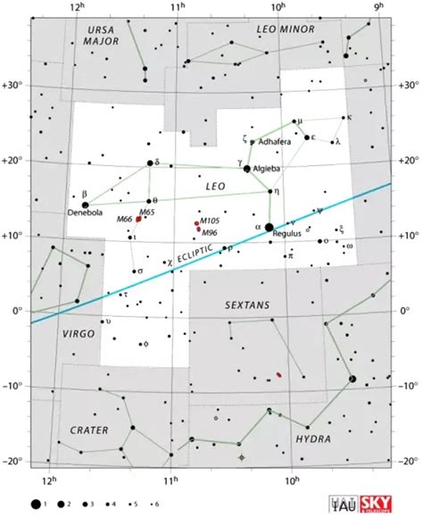 Leo Constellation: Stars, Facts, Myth, Location... – Constellation Guide