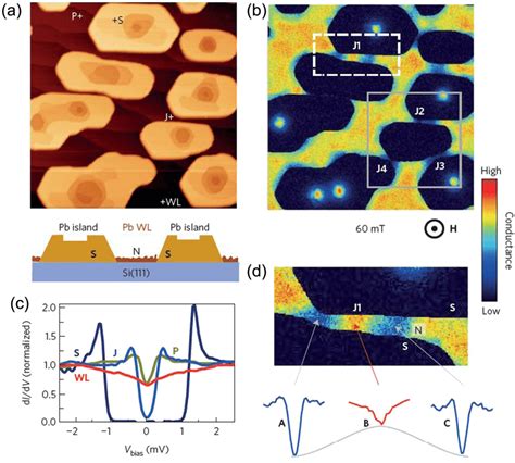 STM STS Observation Of Vortices In Superconducting Pb Islands And The