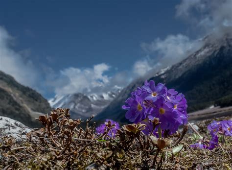 Mount Katao Ft Travel Sikkim Stress Free Holiday Natural