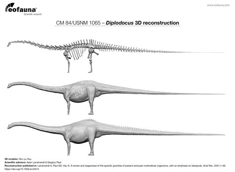 Eofauna Scientific Research On Twitter Working On The Next Figure