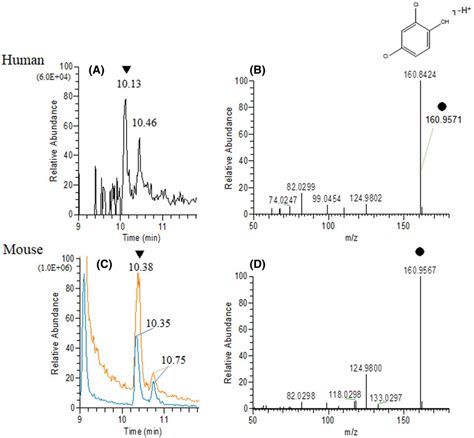 Representative Extracted Ion Chromatograms A And C And Ms² Spectra