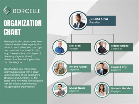 Functional Org Chart Examples For Small Business | FusionCharts