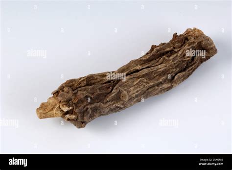 Costus Roots Saussurea Costus Indian Costus Root Costus Root