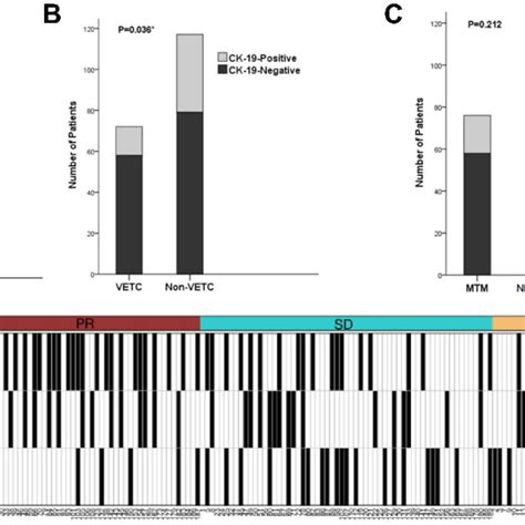 The Correlation Among Different Pathological Types And Tumor Response