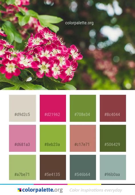 Tosca Color Palette ideas | colorpalette.org