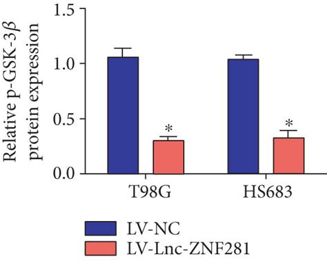 Overexpression Of Lnc Znf281 Inhibited The Aktgsk 3ββ Catenin Pathway Download Scientific