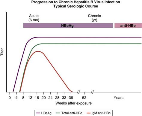 Hepatitis B