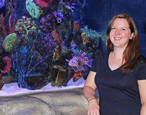 New digital exhibits will soon enhance the maritime aquarium 5