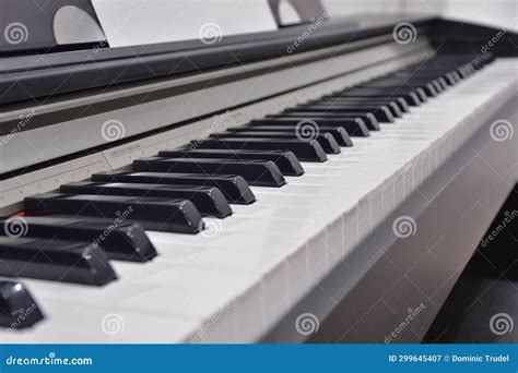 Instrumento Musical Teclas De Piano En Blanco Y Negro Imagen De