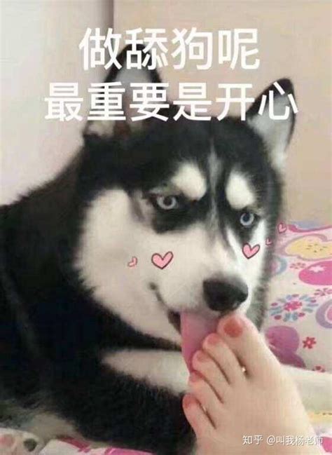 女生是怎样看待自己的舔狗的？ 知乎