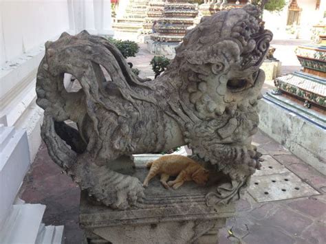 Free Images Monument Statue Lion Thailand Gargoyle Sculpture