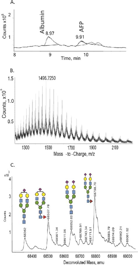 A Total Ion Chromatogram Of A Patient Serum Sample Containing 167 Download Scientific