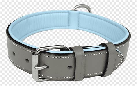 Collier Pour Chien Laisse En Cuir Chien Bleu Animaux Png Pngegg