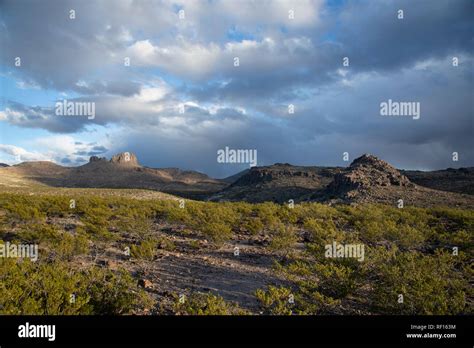 Arizona rain desert hi-res stock photography and images - Alamy