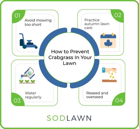 How To Kill Crabgrass Naturally | Sodlawn