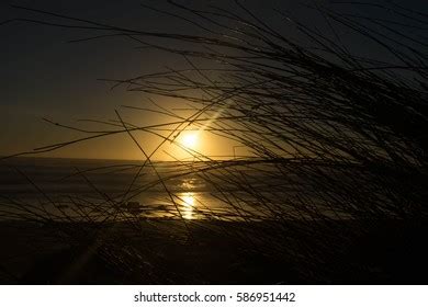 Bayleys Beach Sunset Stock Photo 586951442 | Shutterstock