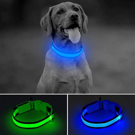 Bseen Led Dog Collar Usb Rechargeable Glowing Lighted Up