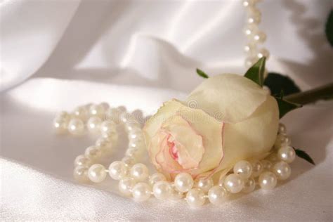 White Rose And Pearls Stock Photo Image Of Celebration 415342