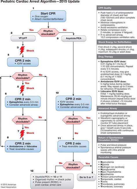 Aha 2015 Pediatric Cardiac Arrest Algorithm First10em