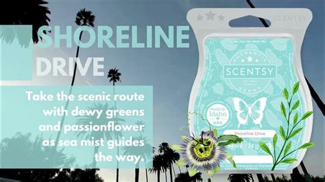 Shoreline Drive Scentsy Wax Bar Review Youtube