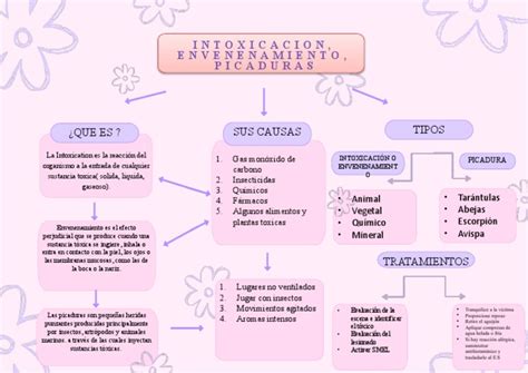 Mapa Conceptual App Pdf Toxicidad Veneno