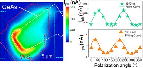 Multifunctional GeAs WS2 Heterojunctions For Highly Polarization