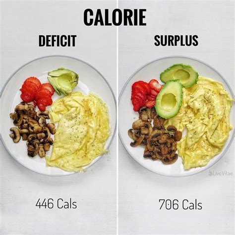 Deficit Caloric Ce Este Si Cum Te Ajuta Sa Slabesti Organics Food