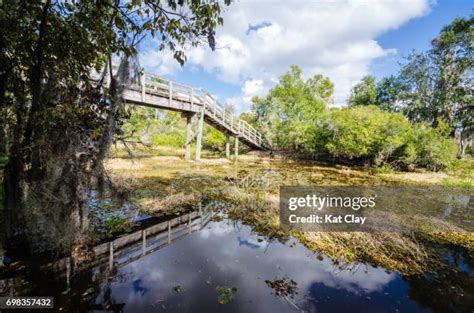 Jean Lafitte National Historical Park Photos and Premium High Res ...