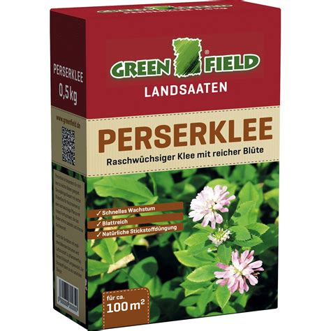 Белый Клевер для газона (72 фото) » НА ДАЧЕ ФОТО