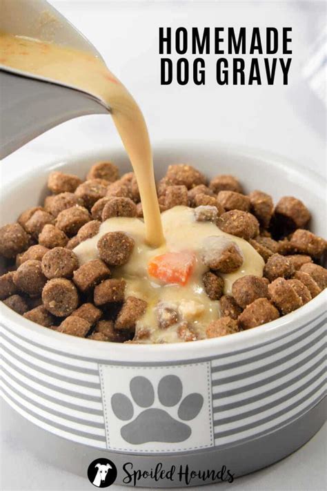 Best Homemade Dog Gravy Recipe - Spoiled Hounds