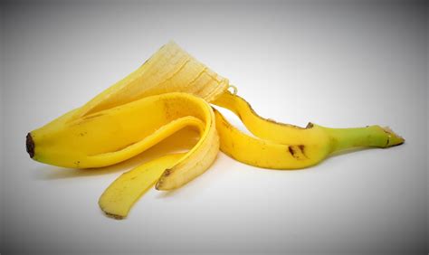 Cascas de banana limpam águas metais pesados descobrem cientistas