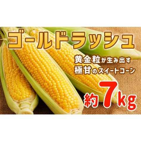 ふるさと納税 とうもろこし 宮崎県 西都市 井上農園 ゴールドラッシュ 20本〜24本入 約7kg 宮崎県西都市産 とうもろこし スイート