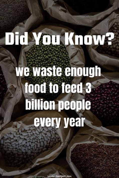 World Hunger Awareness End Hunger Child Hunger Food Waste Make A