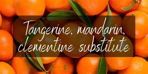 Tangerine Mandarin And Clementine Substitute 4 Ideas To Try Foodiosity