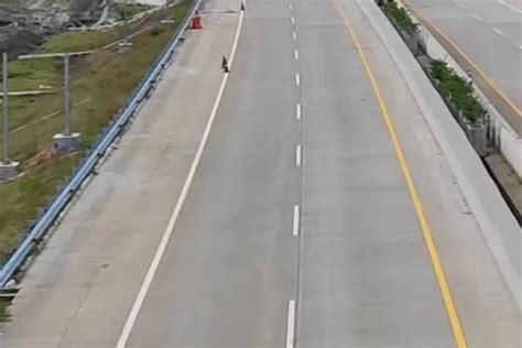 segera beroperasi jalan tol bayung lencir tempino proyek tol pertama