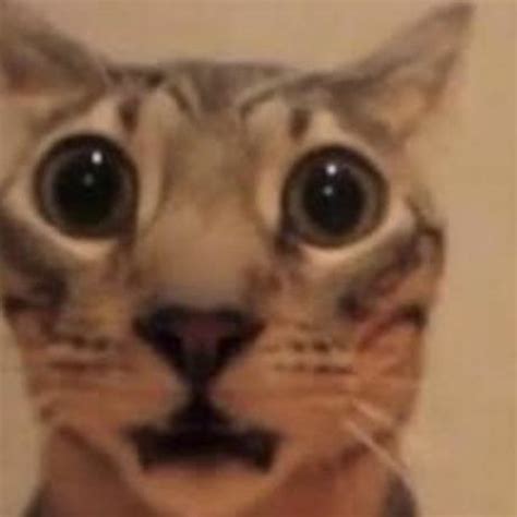 Stream Assadist Pussy Got Me Actin Strange By Clyde Listen Online For Free On SoundCloud