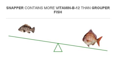 Compare Vitamin B12 In Grouper Fish To Vitamin B12 In Snapper