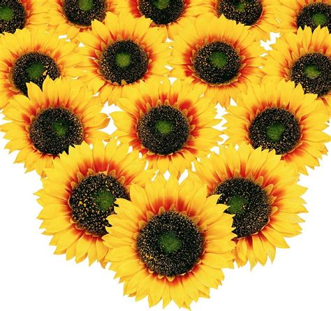 Amazon Mocoosy 16 Pcs 5 5 Inch Artificial Silk Sunflower Heads