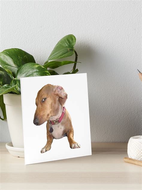 "Sus dog meme" Art Board Print for Sale by TheBigSadShop | Redbubble