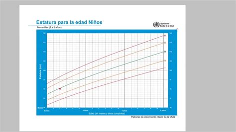 Tabla De Peso Y Talla En Ninos De 6 A 12 Anos Oms Varios Ninos Images